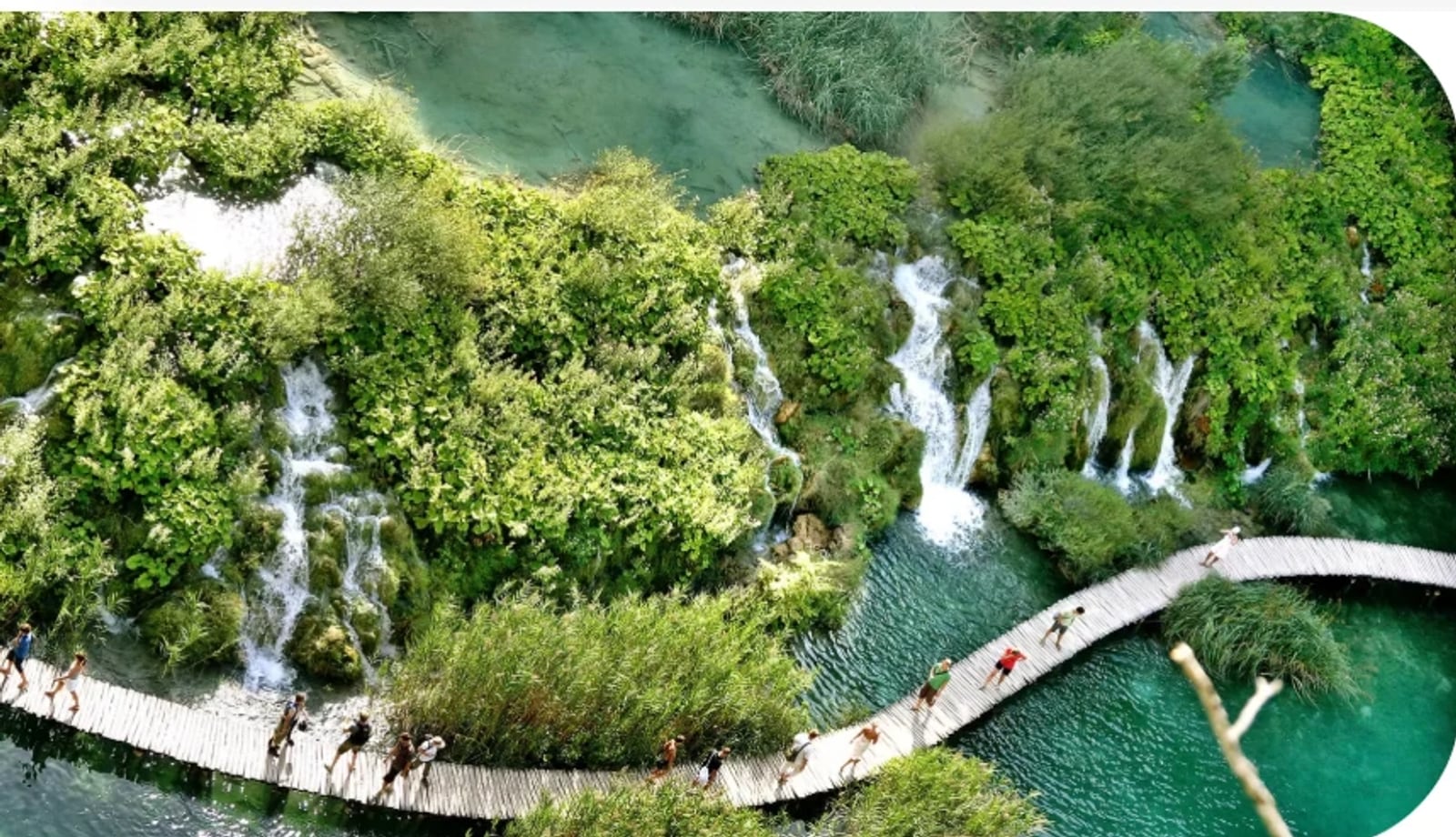 A wooden boardwalk winding over turquoise pools and waterfalls through a green forest
